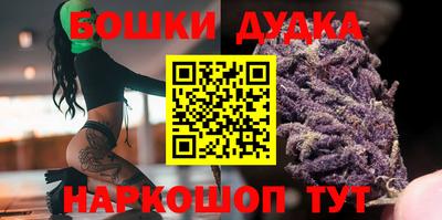 индика Заводоуковск