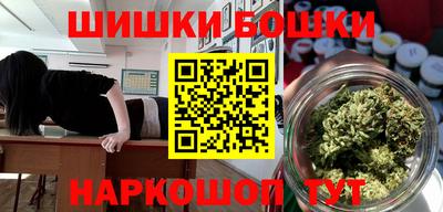 индика Заводоуковск